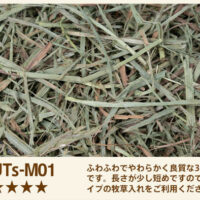 うさチモ ふんわりソフト ロットNo.UTs-M01