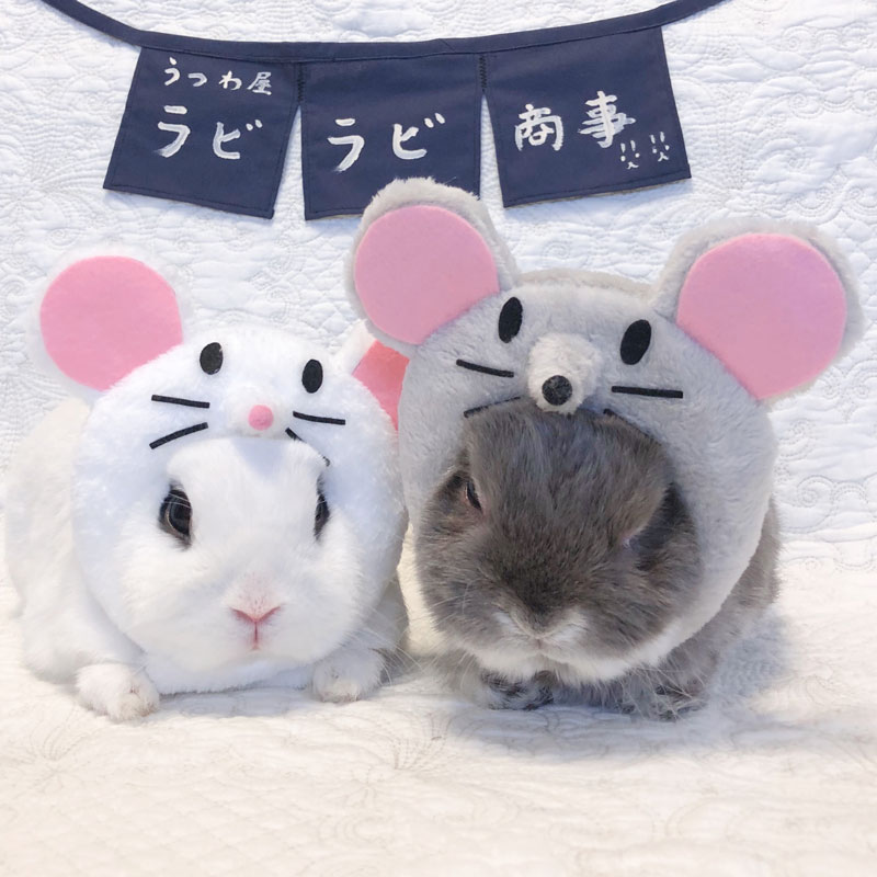 ぎん兵＆チェスくん