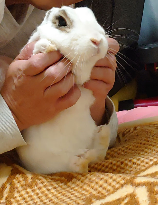 ソメジローくん