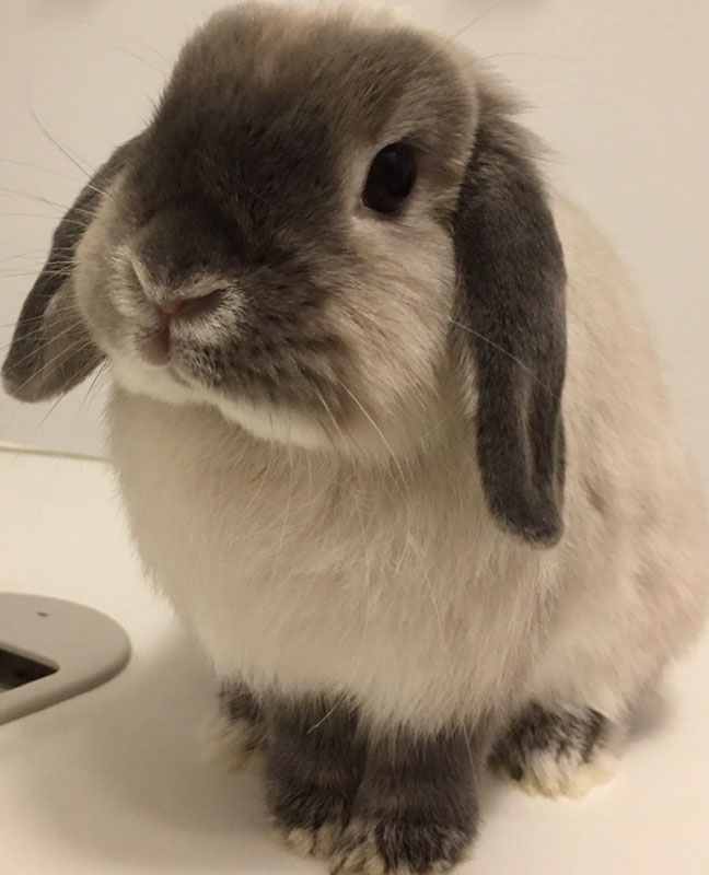 ミシェルちゃん