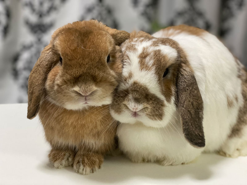 花(はる)&成(なる)ちゃん