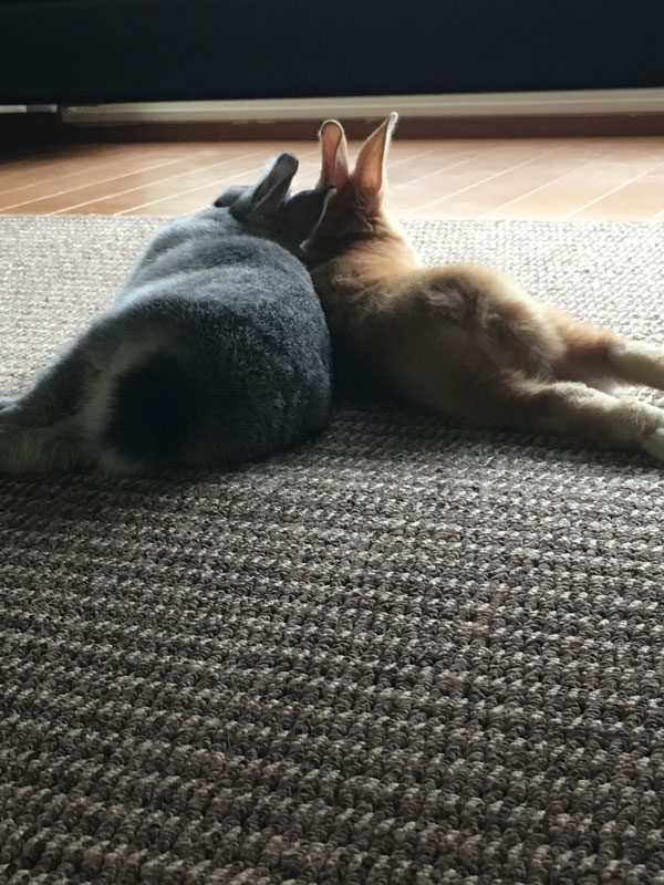 友蔵と諭吉ちゃん