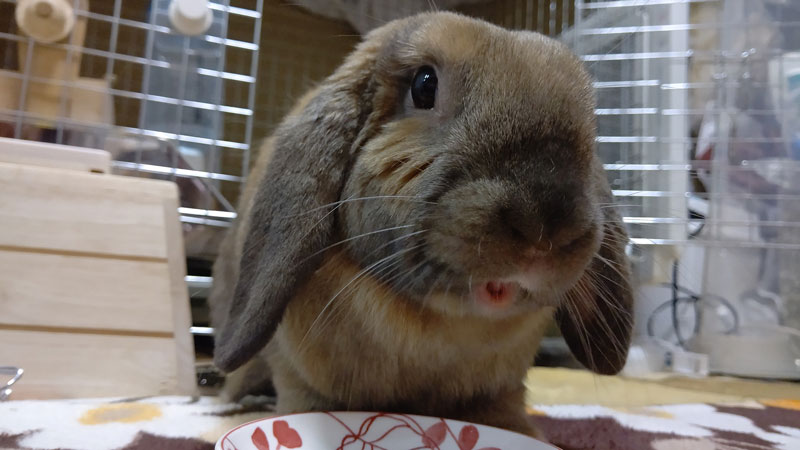 むーつーちゃん