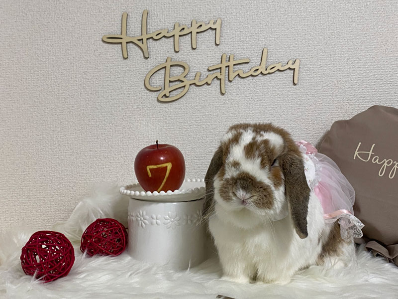 花(はる)ちゃん