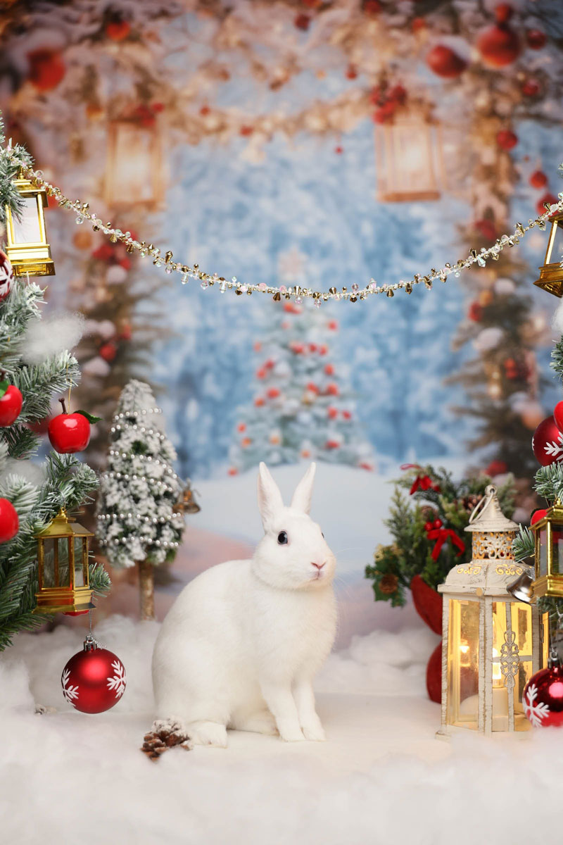 白兎(はくと)くん