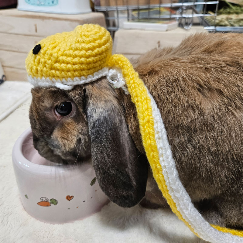 むーつーちゃん