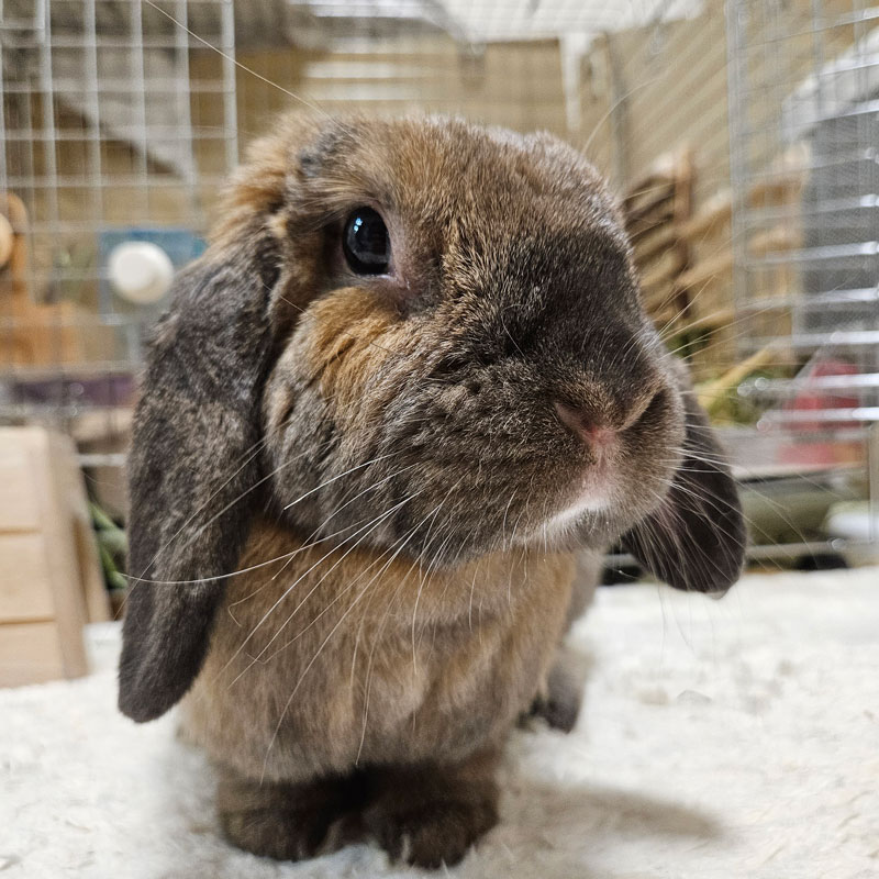 むーつーちゃん