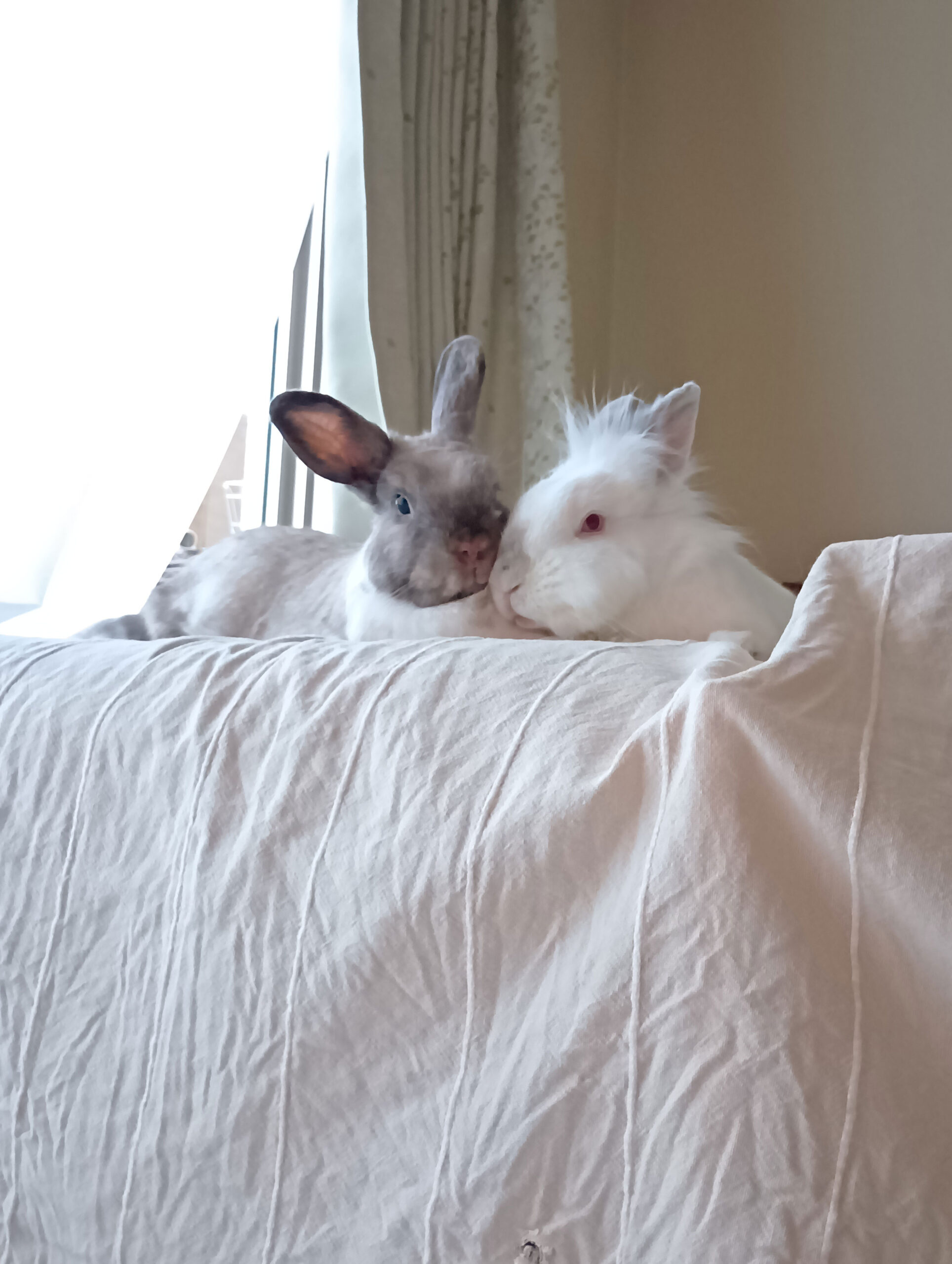 いっちゃんとモニカちゃん