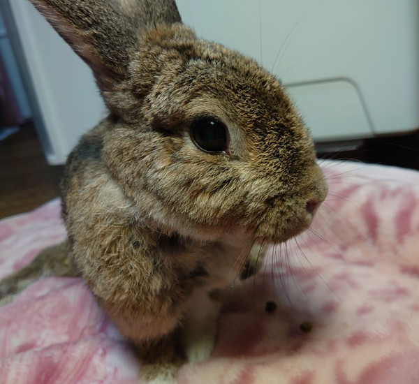 さつきちゃん14歳