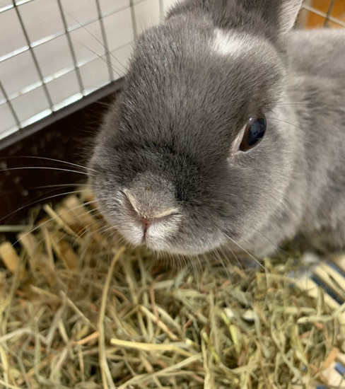 シエルちゃん10歳