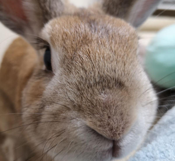 ルークくん 14歳